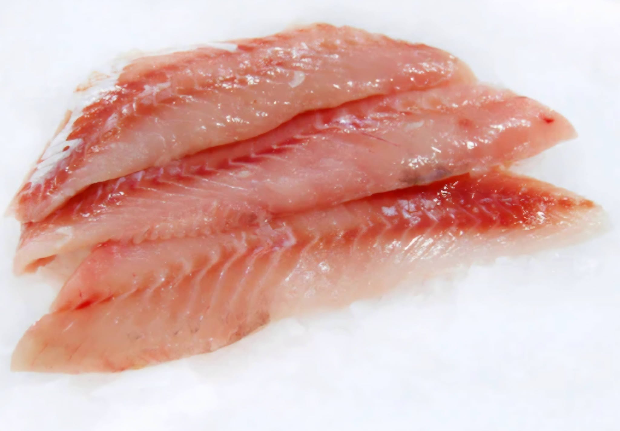 Black Rock Fish